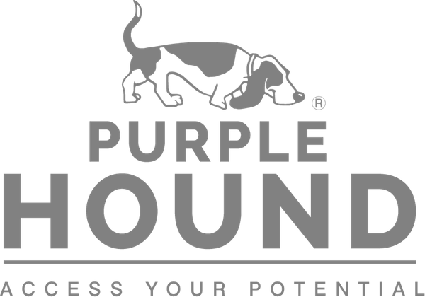 Purple Hound: Championing Accessibility in Events